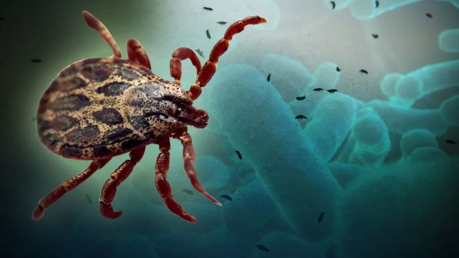 New Tick-Borne Virus Spreads across East China